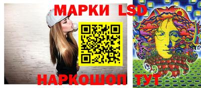 дмт Аргун