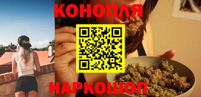 дмт Аргун