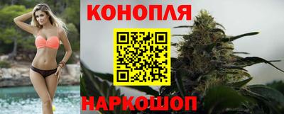 дмт Аргун