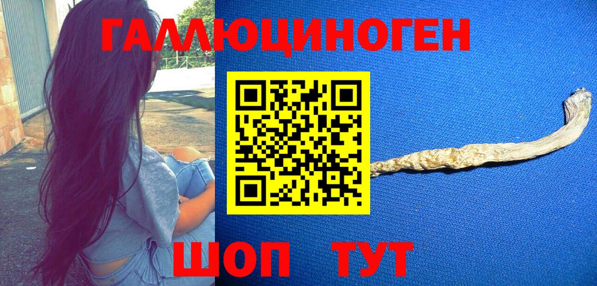 Галлюциногенные грибы мухоморы  Вход с VPN  где купить наркоту  Волгодонск 